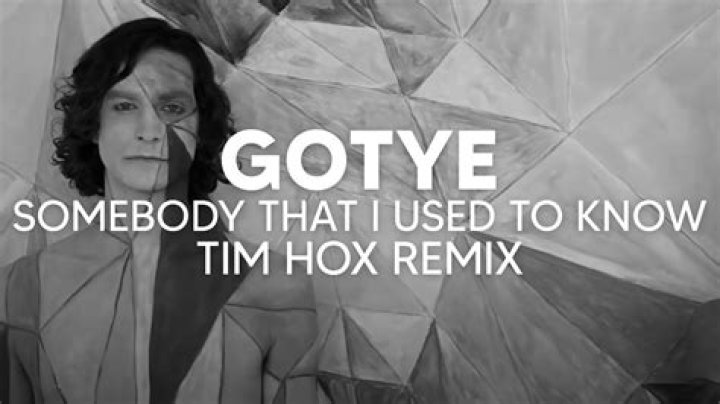 Discovering The Enigma: Who Is Gotye?