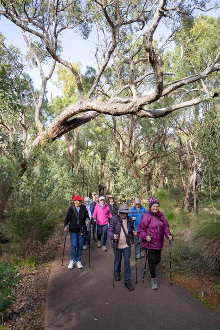 Discovering The Goggins Experience In Perth