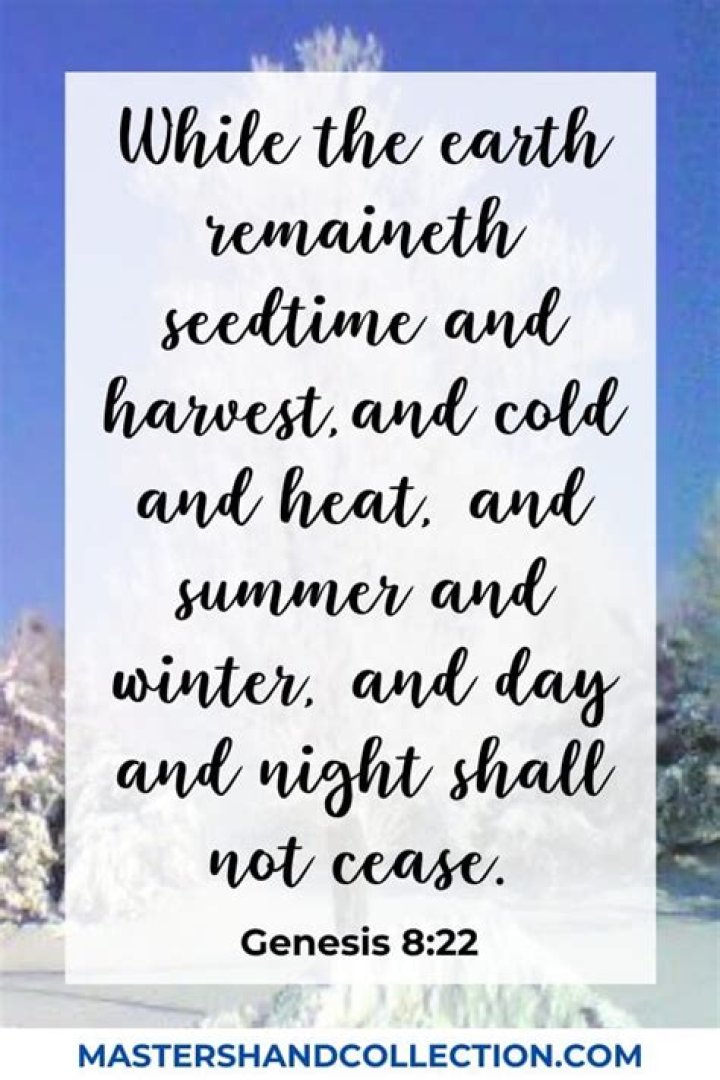 Embracing The Essence Of Mother Warmths