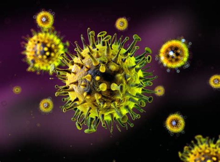 Exploring The Current Stomach Virus Outbreak Map 2024