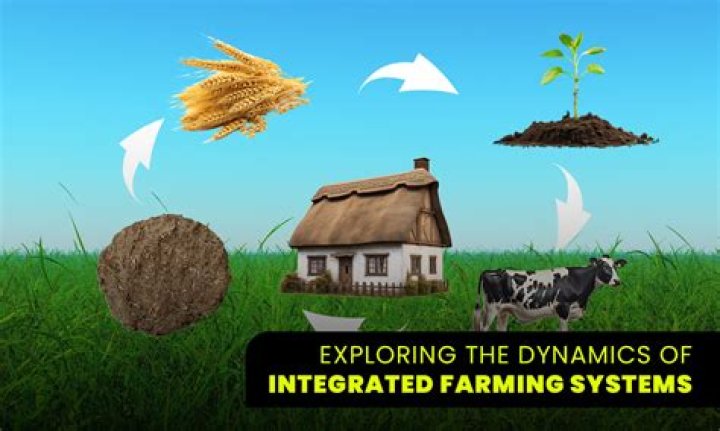 Exploring The Dynamics Of Modern Family Fbox
