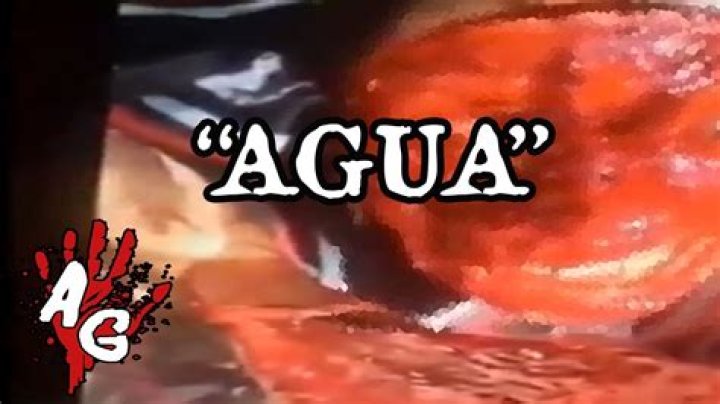 Exploring The Fascination Behind Quiero Agua Payaso Video Gore Original The