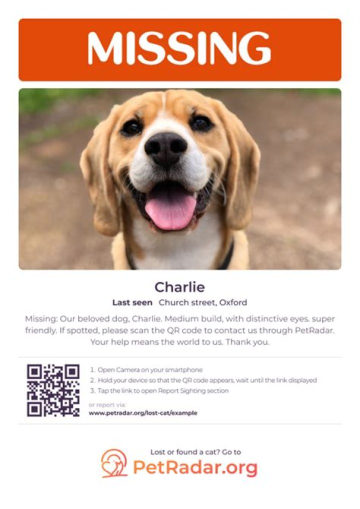 Finding Hope: The Journey Of Toledo Lost And Found Pets