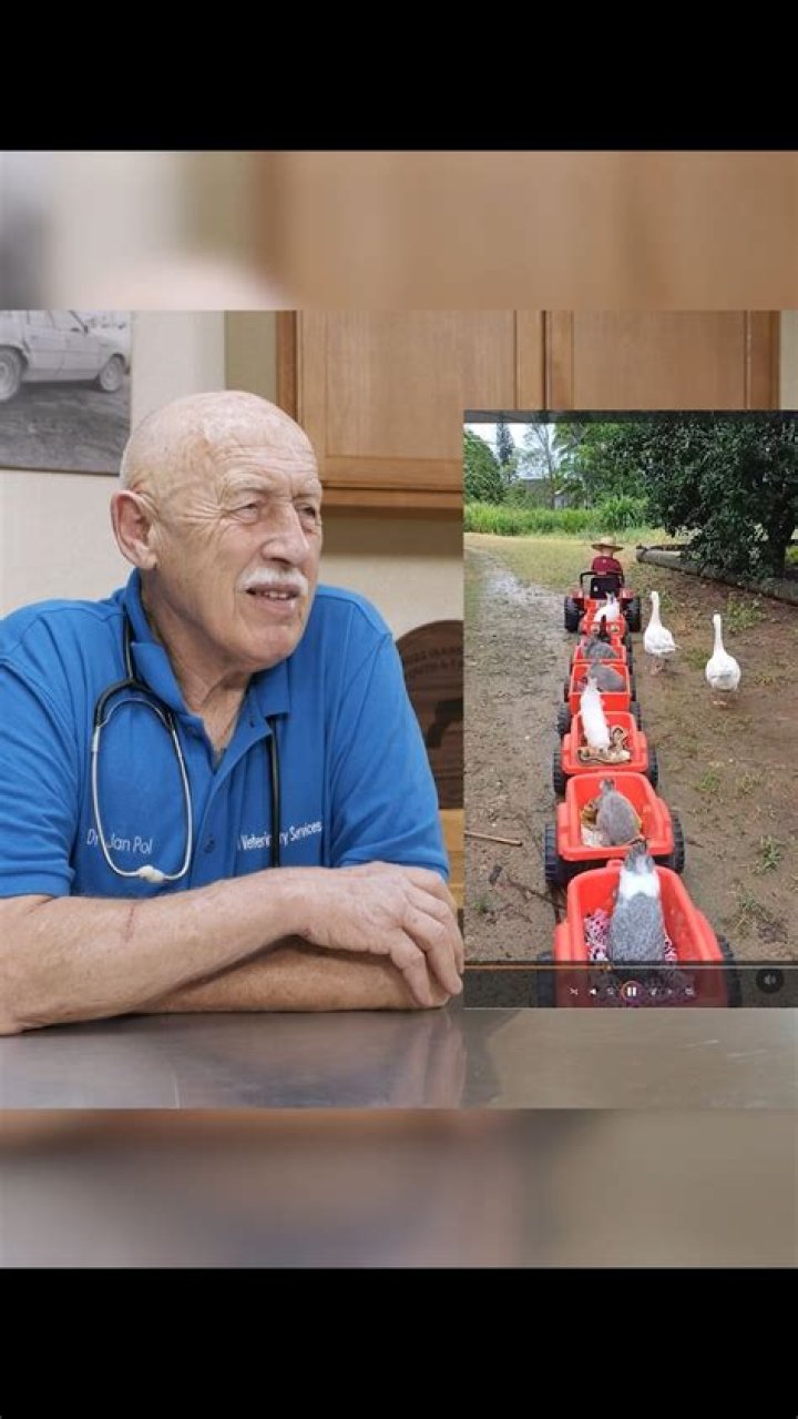 Has Dr. Pol Retired? The Life And Legacy Of A Renowned Veterinarian