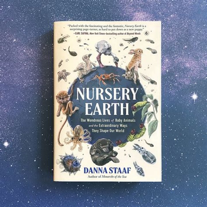 The Enigma Of The Yamal Child: A Journey Into The Arctic Mysteries