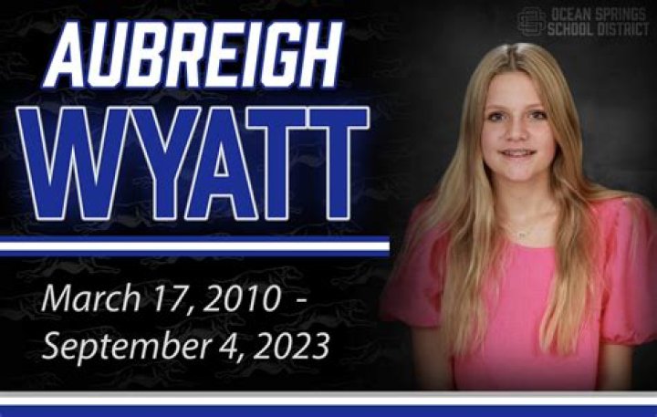 Understanding The Impact Of Aubreigh Wyatt's Bully Picture