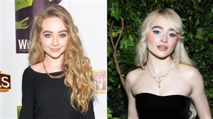 Unveiling The Family Ties: Does Sabrina Carpenter Have Any Siblings?
