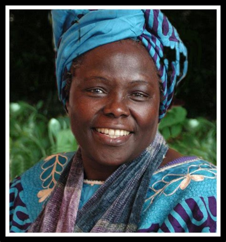 Unveiling The Life And Achievements Of Sunosa Lee