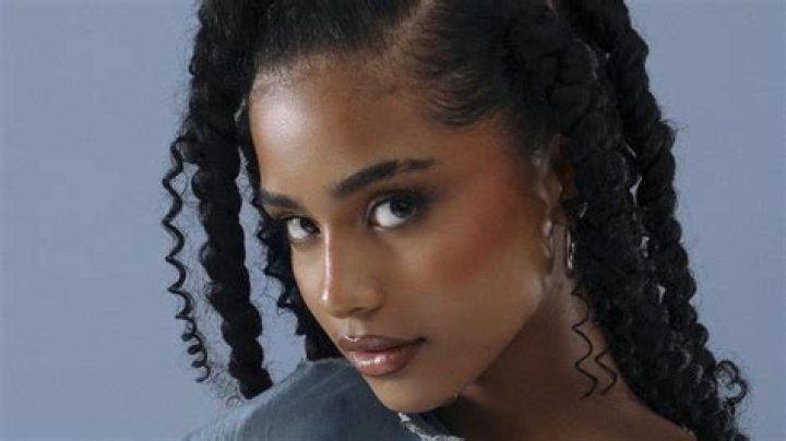 Unveiling The Mystery: What Is Tyla's Net Worth?